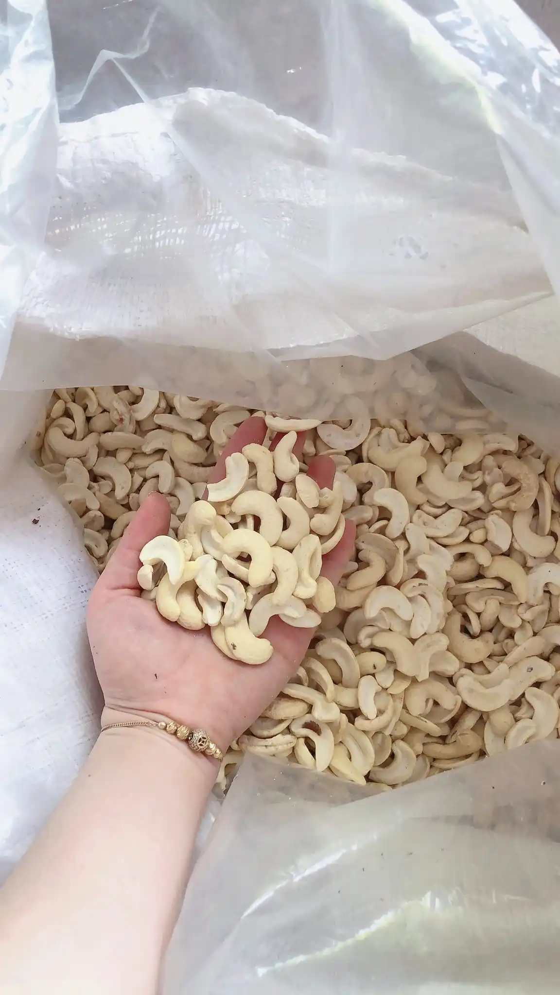 cashew milk and bakery Best Option Newest crop 2022 high quality broken cashew kernels LP, WS