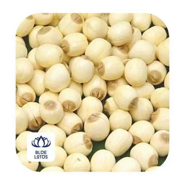 Семена лотоса