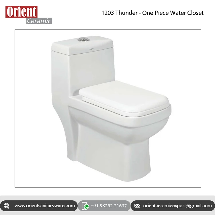 Top Manufacturer Selling High Quality Ceramic One Piece Water Closet with Gravity Flushing Method P-Trap Drainage from India