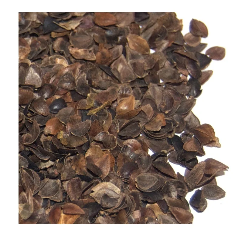 Wholesale Supplier of Natural Quality Organic Dry Sweet Buckwheat Hulls Bulk Quantity Ready For Export