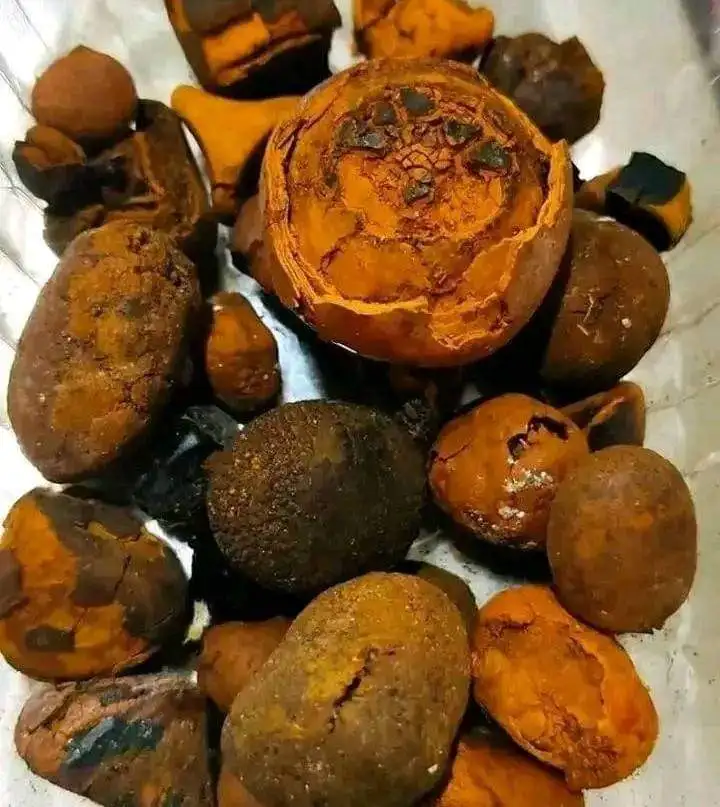 Желчные камни крупного рогатого скота коровьи желчные бычьи