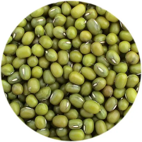 Wholesale Natural Organic High Quality Green Mung Beans Green Vigna Beans Green Gram Beans