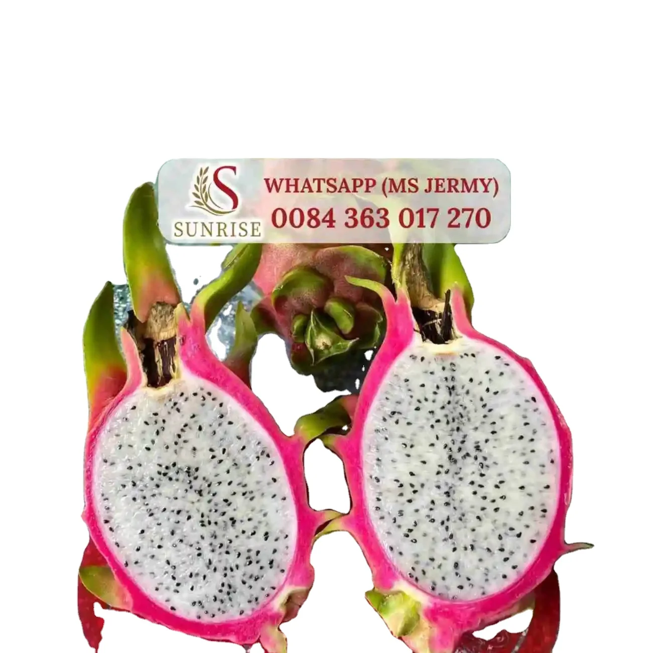 Vietnam dragon fruit high quality fruit