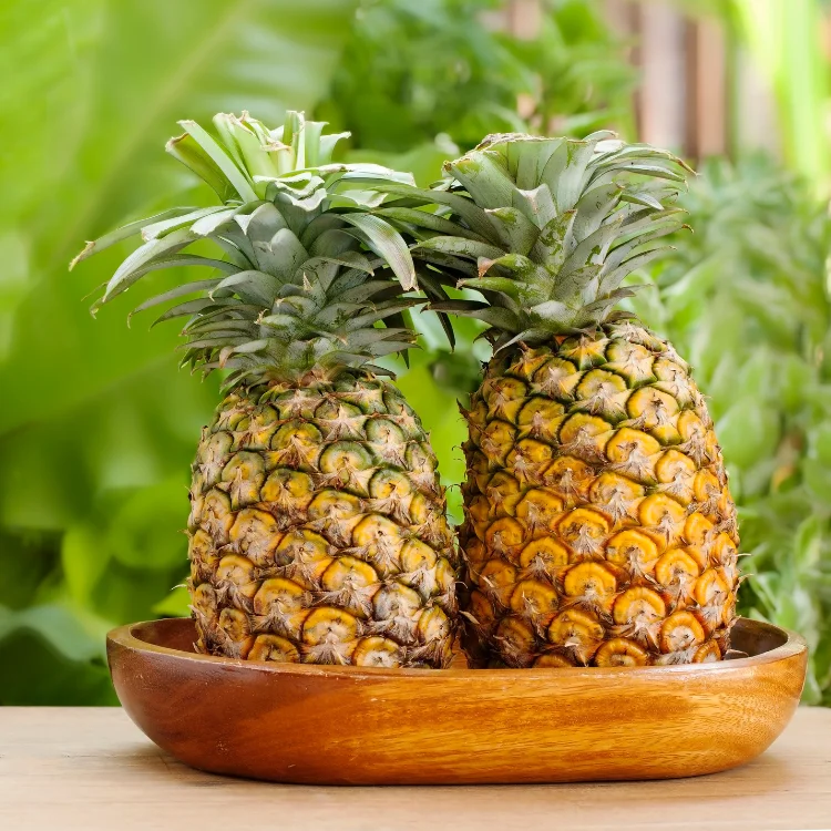 Cheapest Vietnamese pineapple, best quality;