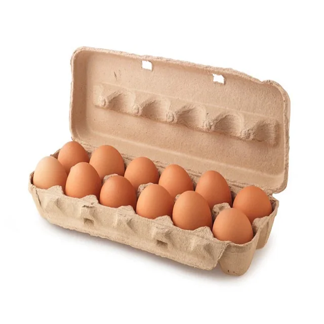 2024 Farm Fresh Chicken Eggs Wholesale - Bulk Quantity - White & Brown - Best Price Guaranteed