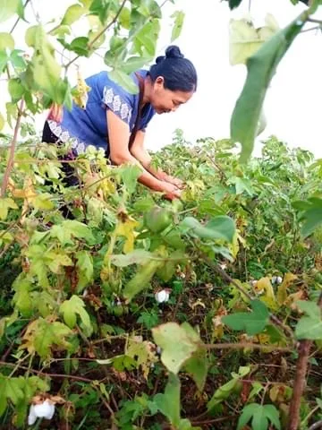 Top Favorite 100% Organic Cotton Short Sleeves Pyjamas Set Natural Green Tea Dye for Children Sleepwear