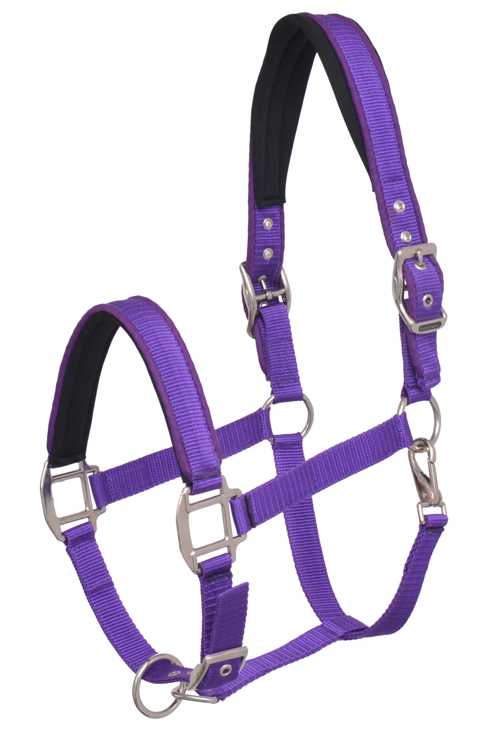 Hot Sale of Horse Riding PP Halter Available at Good Price Strong Premium Quality