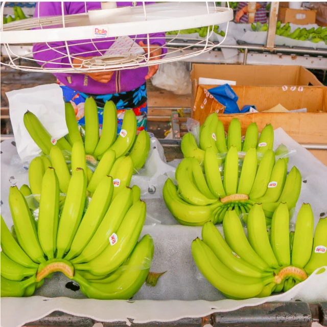 Золотые зеленые бананы cavendish от Unifarm