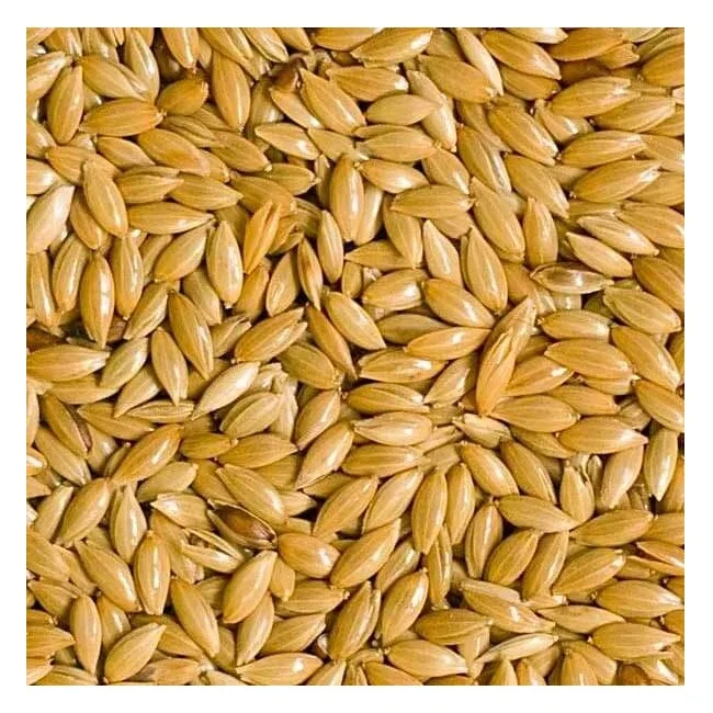 Семена Нигера/канареек