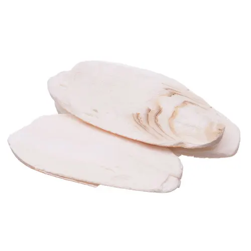 Цепота сепия косточка корм для рыб птиц особенности применения овальной формы органический домашних животных кости