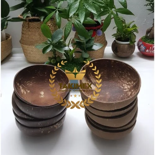 New Fashion Good Quality Customize Logo Handicraft Gift Set Natural Shell Bowl Coconut Bowls With Spoons