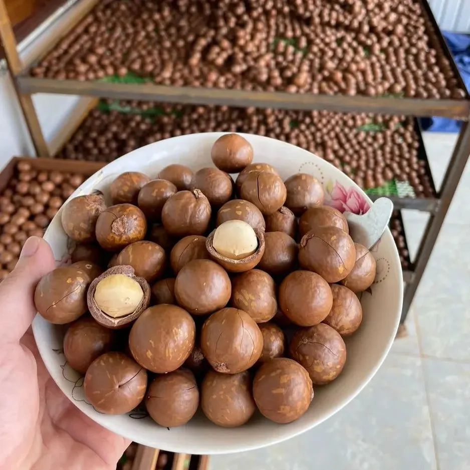 ROASTED MACADAMIA NUTS / DELICIOUSLY NUTTY and CRISP / MADE in VIETNAM