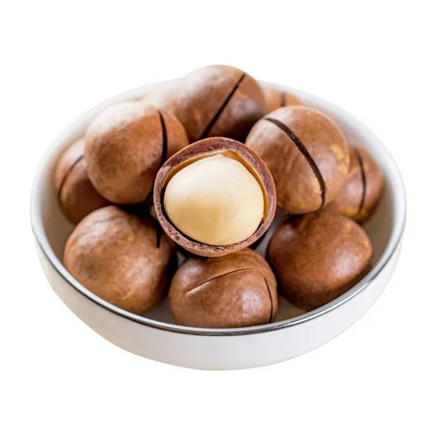 Raw Healthy Food 5kg Bag Dried Roasted Macadamia  Macadamia Nut From Factory for Export Nuts for Sale