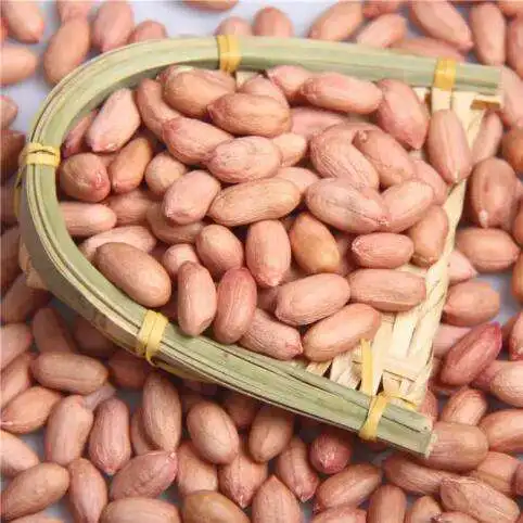 Red Skin Peanuts / Blanched Peanut Kernels / Roasted and Salted Redskin Peanuts