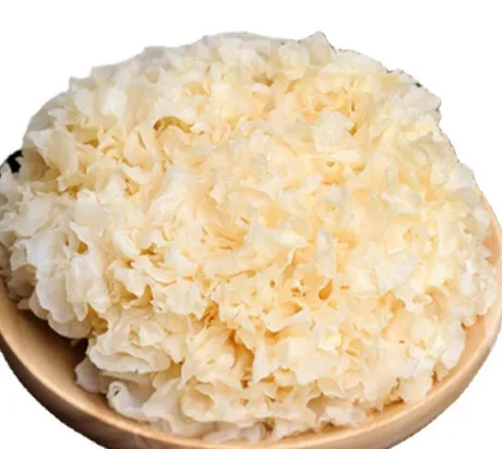 Top selling dried fresh snow natural fungus yellow cut standard for export