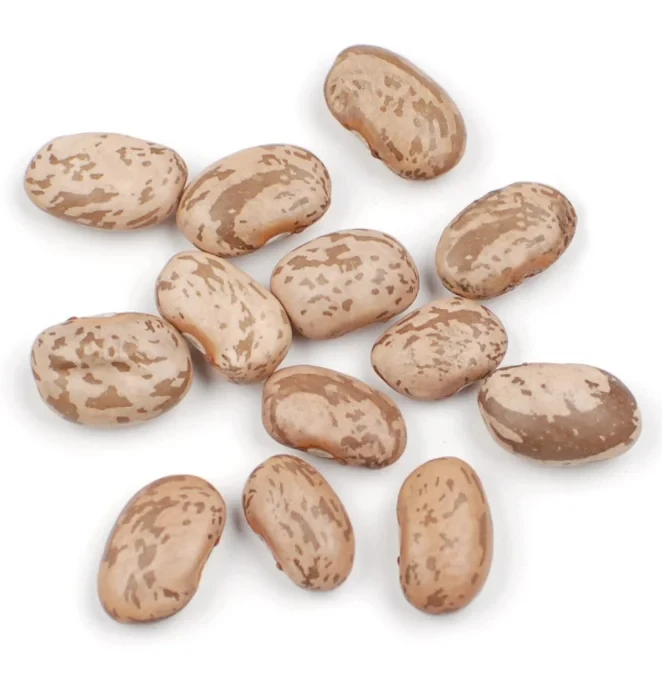 2024 Light Speckled Kidney beans sugar beans pinto beans for sale High quality long shape Quality Dark Red, Brown, Sugar Beans