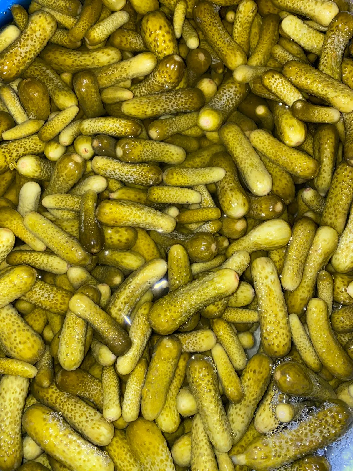 Лучшие продажи вегетарианские консервированные кислый огурец маринованный Овощные Консервы различные упаковки