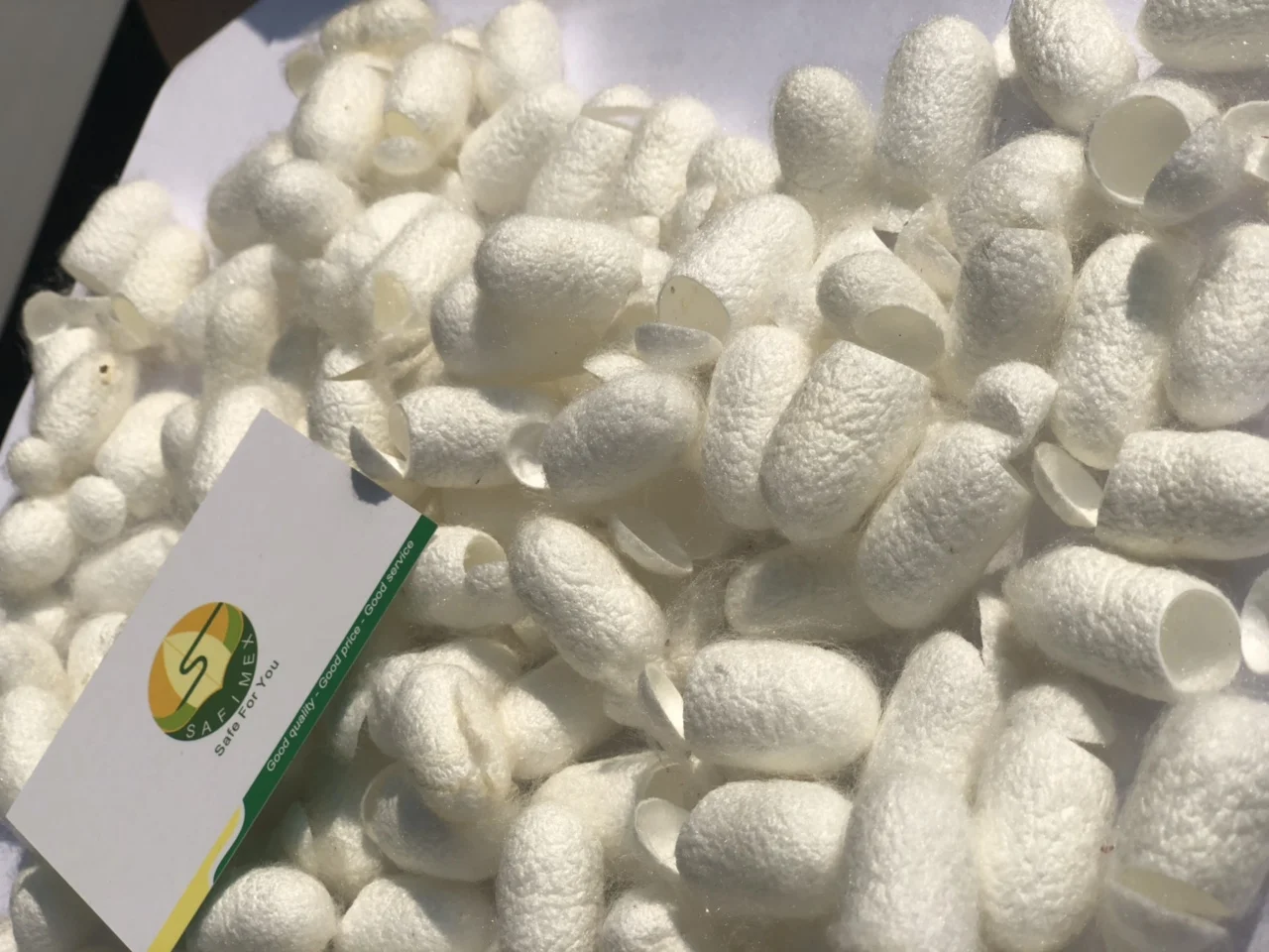 Ecofriendly Silk Cocoon For Skicare and Face / Silkworm Vietnam For Cosmetics