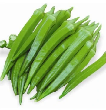 100% Fresh Vegetable Thailand Okra 100% Premium Quality Organic Ladies Finger/Fresh Okra Export
