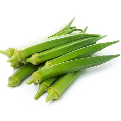 Лучший продавец свежих овощей Okra по низкой