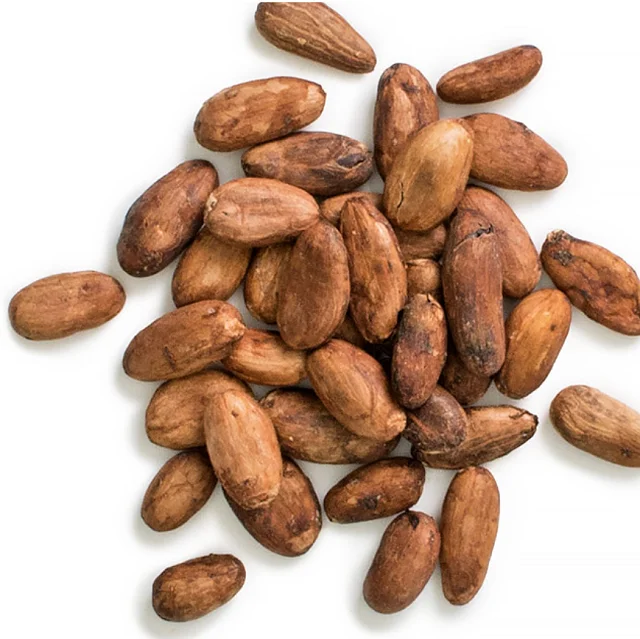 export and import cocoa premium quality High fat cocoa \High Quality Cocoa Beans - Cacao Beans - Chocolate bean