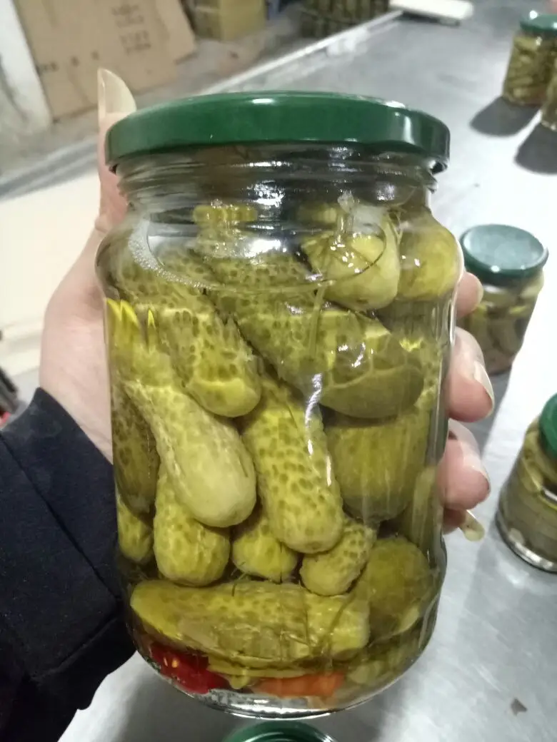 2023 Best Selling High Quality Blue Lotus Farm Vietnam Pickled Gherkins Preserved Cucumbers in Drum with Vinegar and Salt