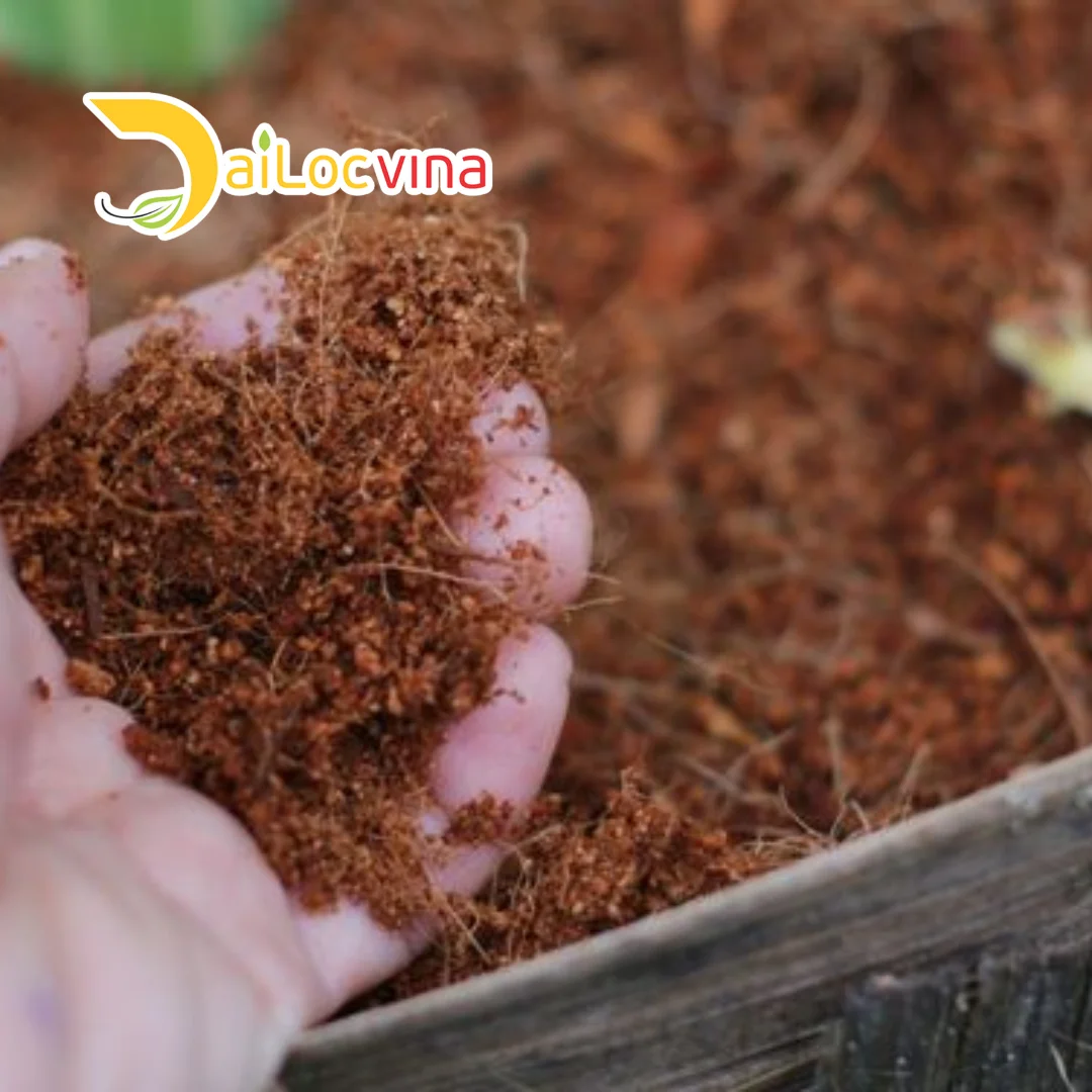 COCO PEAT POWDER USED in HOME and GARDENING