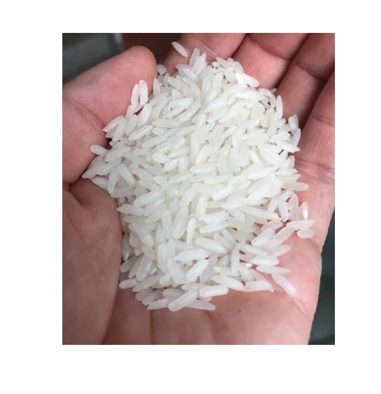 Приобретайте высококачественный Тайский рис Pathumthani оптом чтобы придать выдающийся вкус и текстуру идеально подходящие для разнообразных потребностей в приготовлении пищи