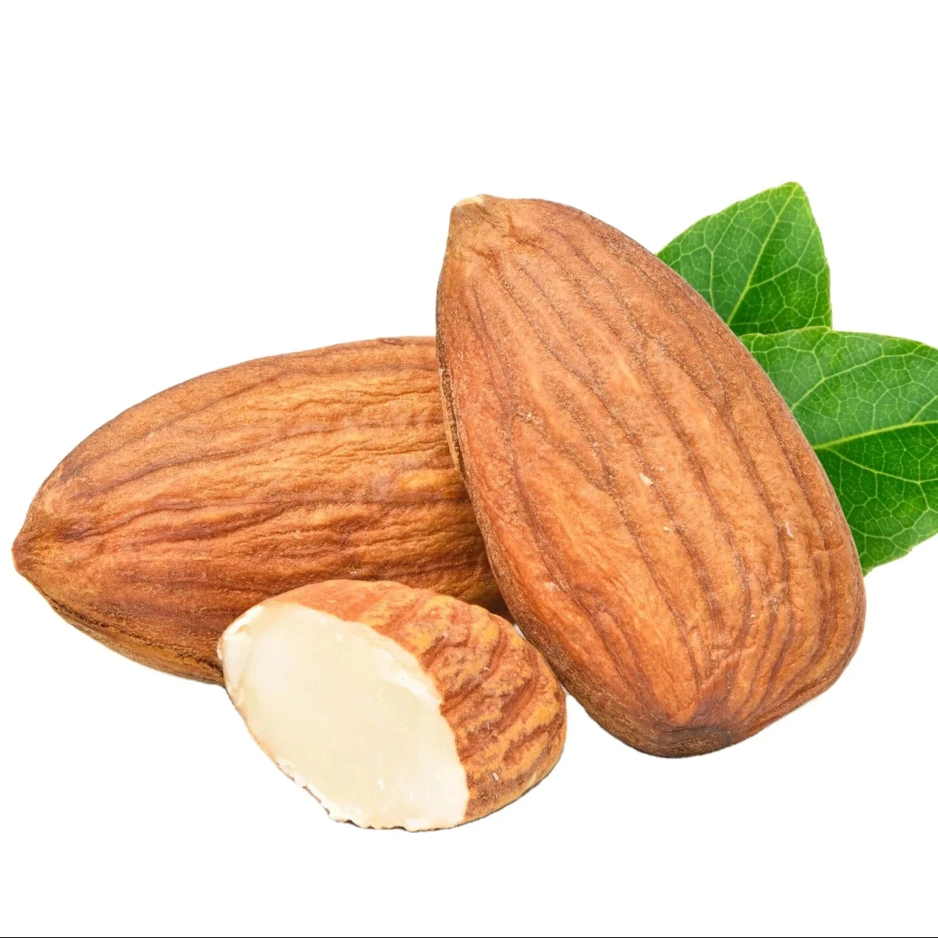 Manufacturer our company 100% Natural Raw Almond Kernels Nuts Top Quality Dry Fruits Raw Badam Almonds at low price