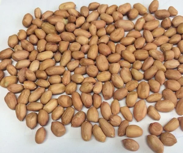 Amendoim Peanuts White High Standards