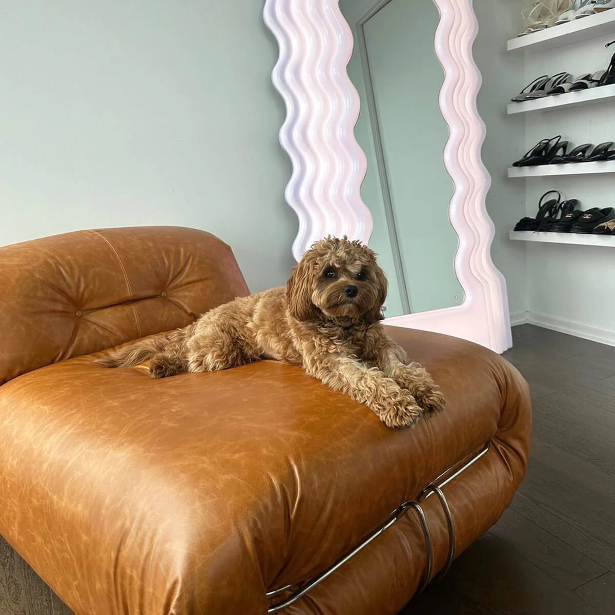 The sofa leather is of high quality  The sofa is exquisite and has good reproducibility Beautiful design of sofa