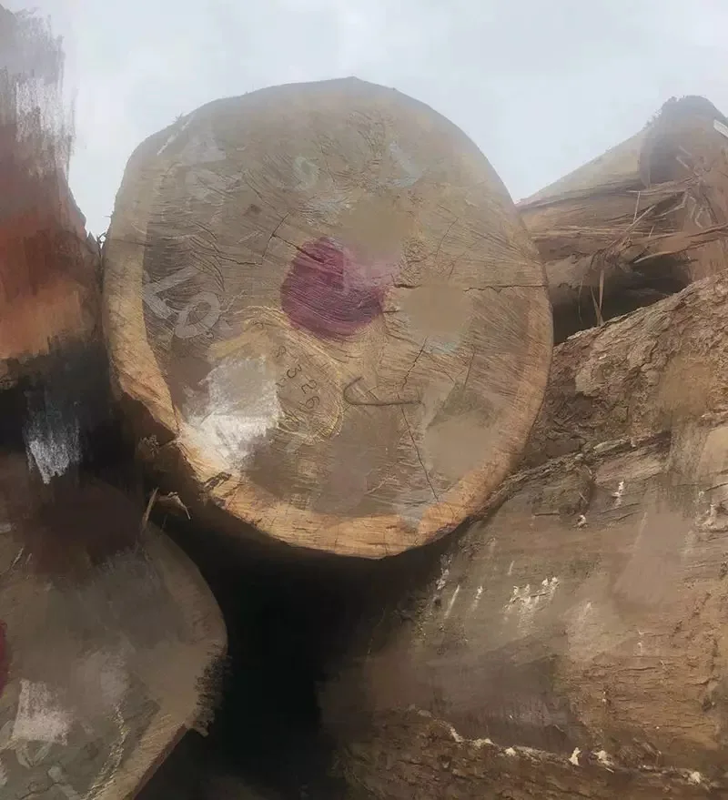 Дешевые деревянные бревна Wenge/ Bilinga /Teak