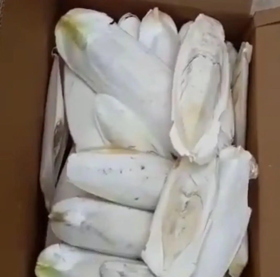 Оптовая продажа, косточка кальмара, косточка для рыбы, косточка для птицы