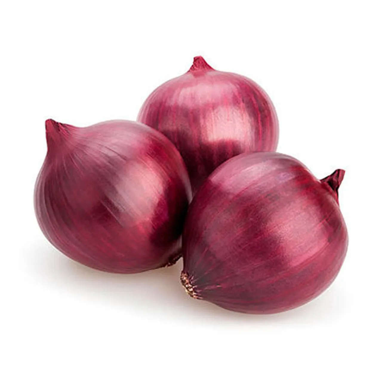 Hot Selling Good Quality Fresh Light Red Onions for Eatable Available at Wholesale Prices for Worldwide Export From India