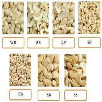 TPN, Broken Cashew Nuts Vietnam TPN Raw Cashew Kernels Raw + Dried 10000 Kgs Grade WW 320 a Grade Natural Color Natural Sweet