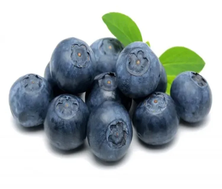 Buy Sweet and Juicy Blueberries