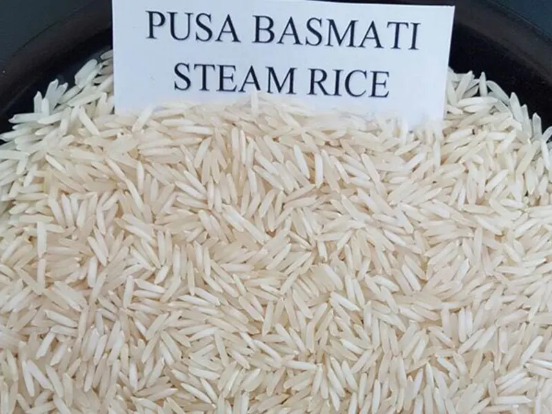Pusa Basmati Rice - Steam Indian Exporter Top Quality Product packing 10 kg 25 kg available Haryana Punjab