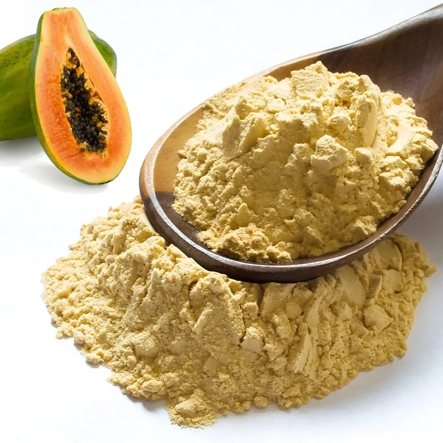 Premium quality Vietnamese papaya fruit powder top quality powdered pawpaw fruits with best price