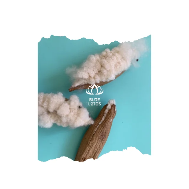 Kapok Fiber-Лучшая цена с высоким качеством