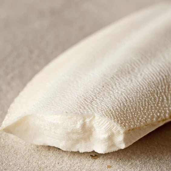 Дешевая сушеная кость каракатицы/Высококачественный морепродукты Вьетнам/кристалл