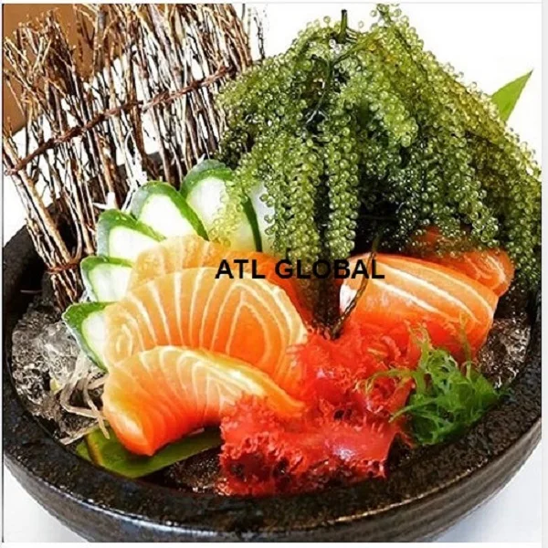 Dehydrated sea grapes Umibudo Ararosep Seaweed Caulerpa Lentillifera Green caviar from Viet Nam with wonderful taste 120g/box