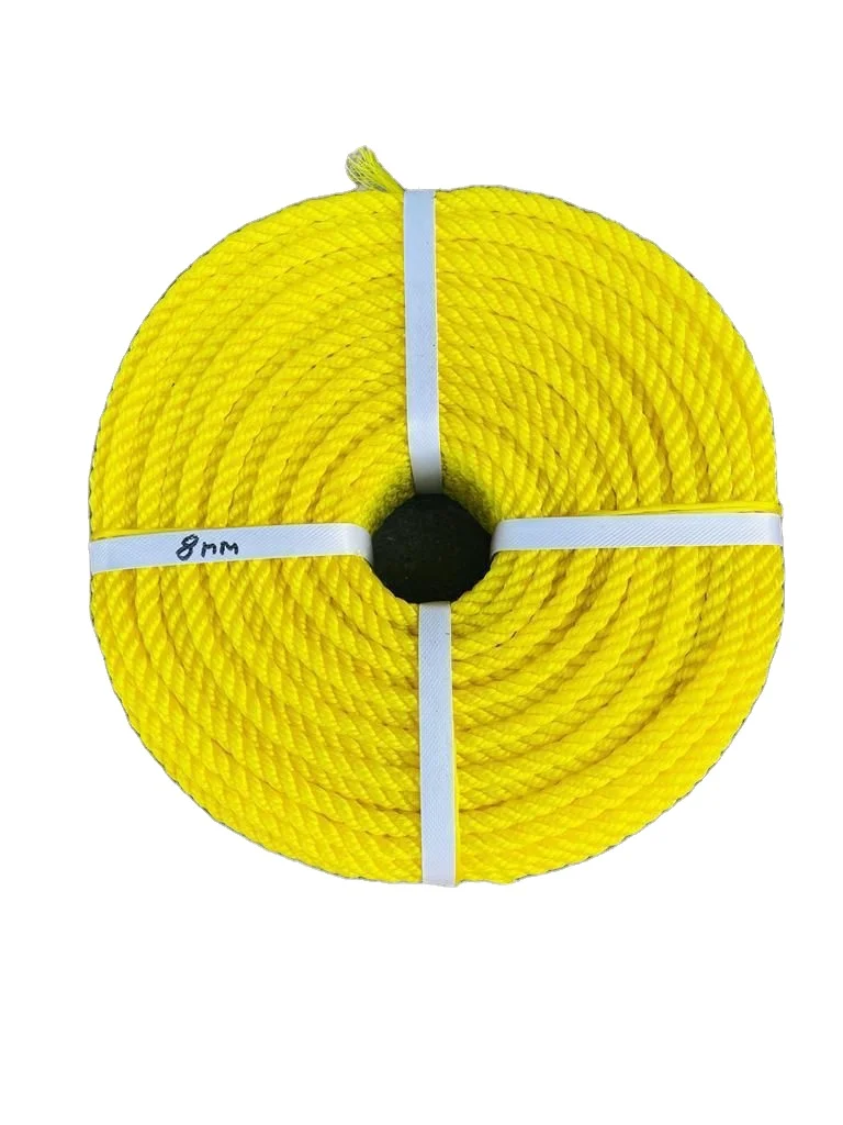 Multi Colored Polyester Cord polypropylene rope 2mm 3mm 4mm Macrame Braided Cords Flat Nylon Parachute Cord