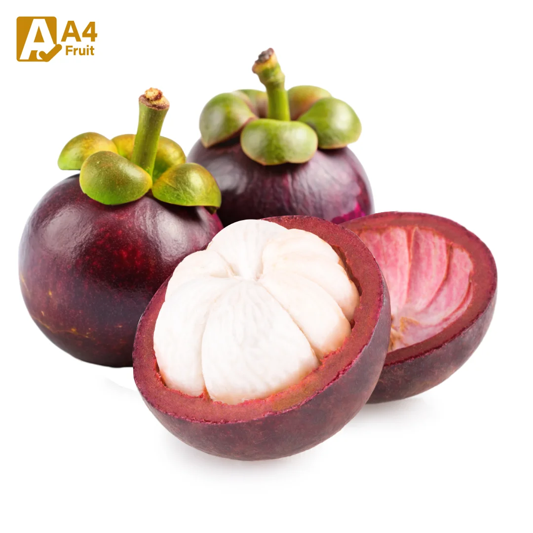 Premium Fresh Mangosteen - Superior Quality, Sustainably Sourced with Advanced Packaging from Thailand
