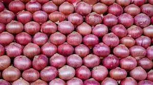Wholesale Fresh Red Onion/Yellow Onion.