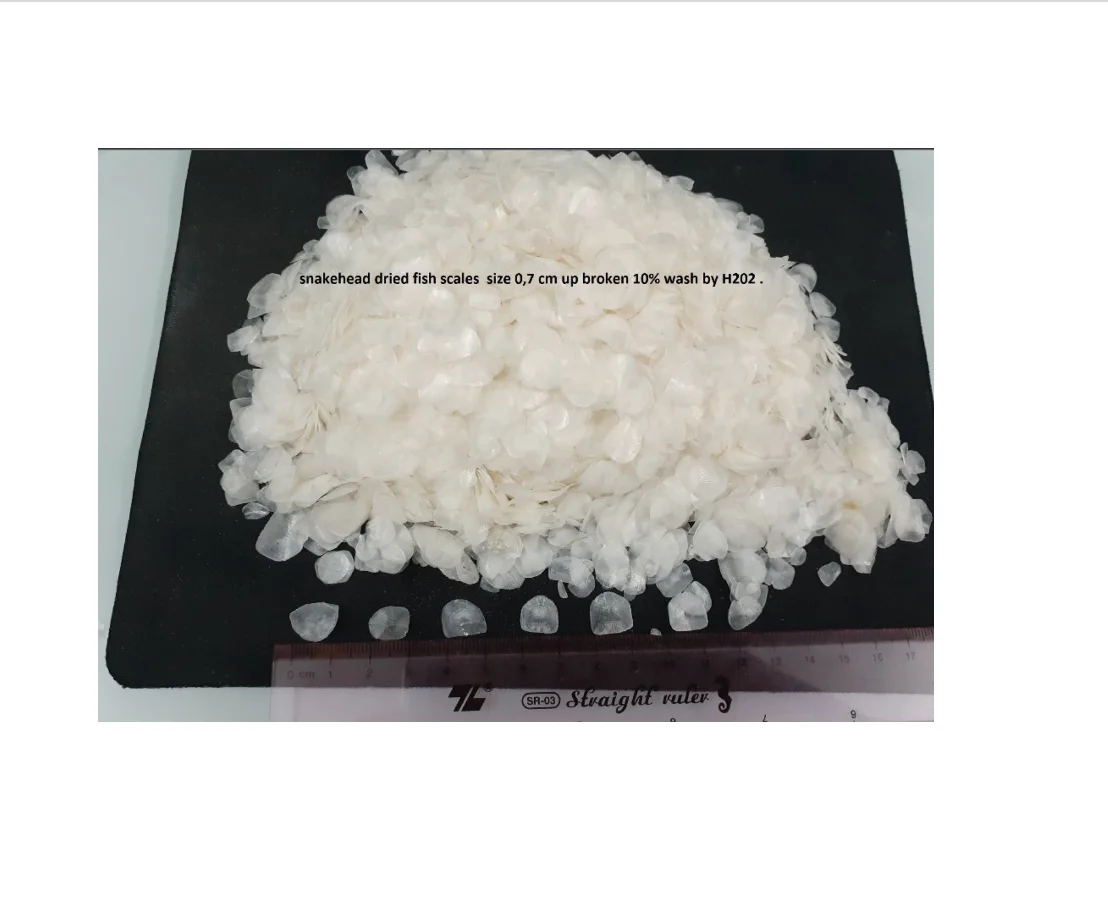 DRIED FISH SCALES WITH BULK | SNAKEHEAD - TILAPIA - SEA BASS FISH SCALES SO CHEAP | FOLLOW CUSTOMER REQUIREMENTS