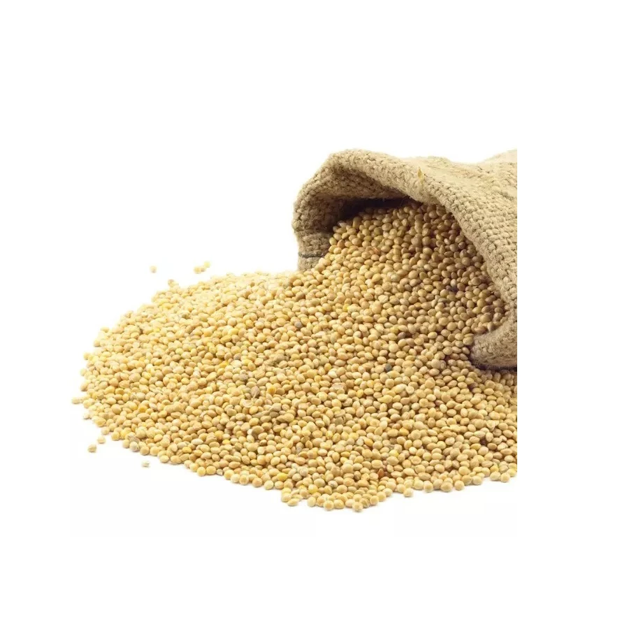 Crop Grain Dried Hulled Yellow Millet For Bird Feed