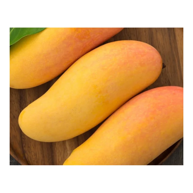 Thai fresh mangos 100% High Quality - Thailand origin premium grade (Mahachanok direct from farm)