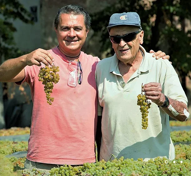 Italian best quality distilled Grape Spirit Grappa di Passito 40%vol for bulk export