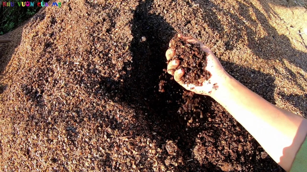 Best Selling Dried Coffee Husk in Bulk Supply from Vietnam - Best Quality Cheap Price Coffee Husk | Ms.Kim