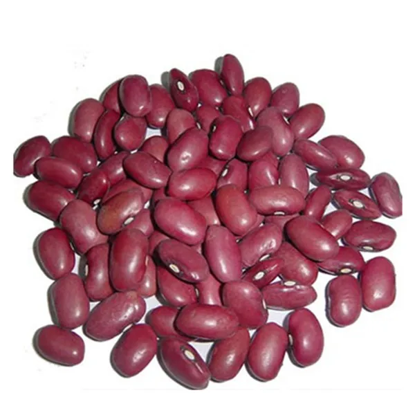 Polished Organic Non-GMO Dark Red Kidney Beans rice and beans red kidney bean